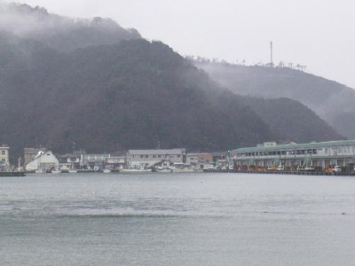 山陰の冬の恵み、かにがドッサリ水揚げされます。